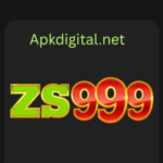 ZS999.com